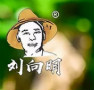 LCT商城